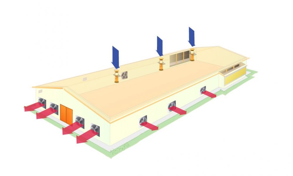 Вентиляция в конюшне проект